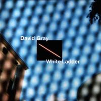 Cover image for White Ladder 20th Anniversary ** White Vinyl