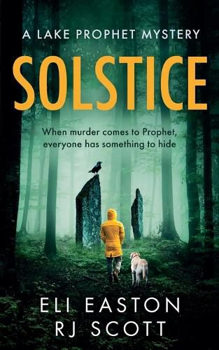 Cover image for Solstice