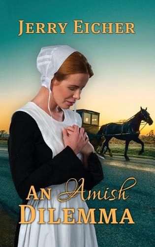 Cover image for An Amish Dilemma