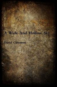 Cover image for A Wide And Hollow Sky