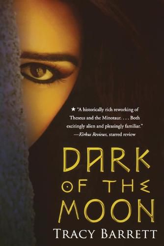 Cover image for Dark of the Moon