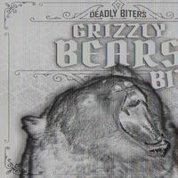Cover image for Grizzly Bears Bite!