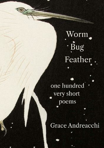 Cover image for Worm Bug Feather