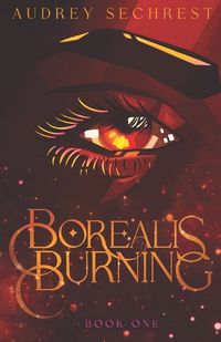 Cover image for Borealis Burning