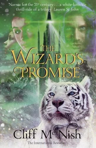 Cover image for The Wizard's Promise