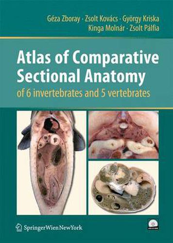 Cover image for Atlas of Comparative Sectional Anatomy of 6 invertebrates and 5 vertebrates