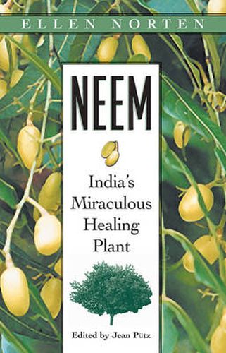 Neem: Indias Miraculous Healing Plant