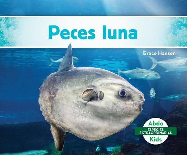 Cover image for Peces Luna / Mola Ocean Sunfish