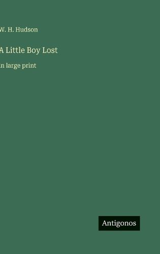 Cover image for A Little Boy Lost