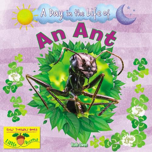 Cover image for An Ant