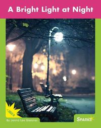 Cover image for A Bright Light at Night