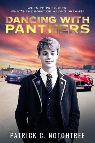 Cover image for Dancing with Panthers