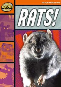 Cover image for Rapid Reading: Rats! (Stage 4, Level 4B)