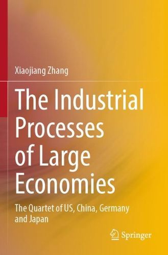 Cover image for The Industrial Processes of Large Economies