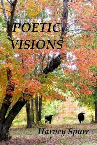Cover image for Poetic Visions