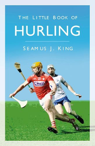 Cover image for The Little Book of Hurling