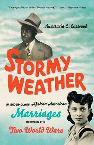 Cover image for Stormy Weather: Middle-Class African American Marriages between the Two World Wars