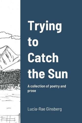 Cover image for Trying to Catch the Sun