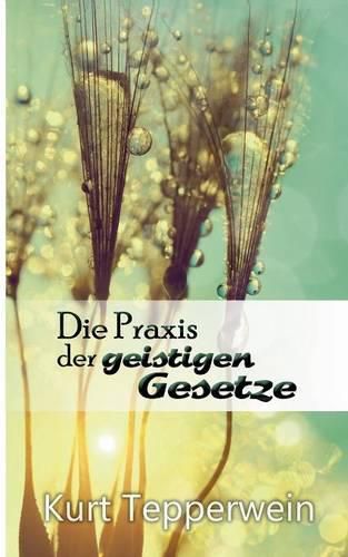 Cover image for Die Praxis der geistigen Gesetze