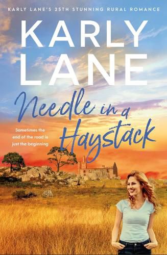 Cover image for Needle in a Haystack