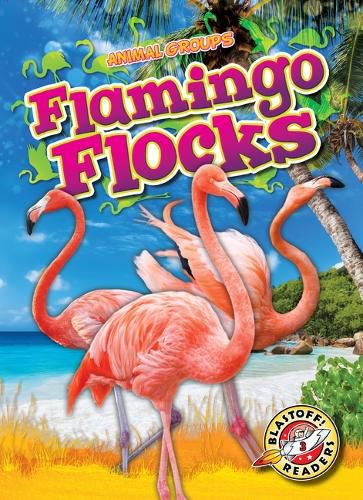 Cover image for Flamingo Flocks