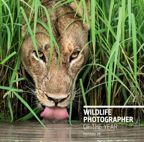 Cover image for Wildlife Photographer of the Year: Portfolio 28