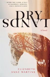 Cover image for Dry Lands