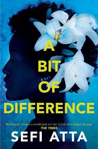 Cover image for A Bit of Difference