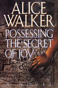 Cover image for Possessing the Secret of Joy.