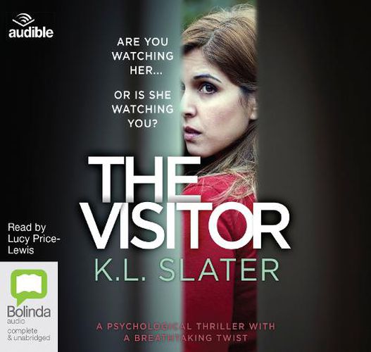 Cover image for The Visitor