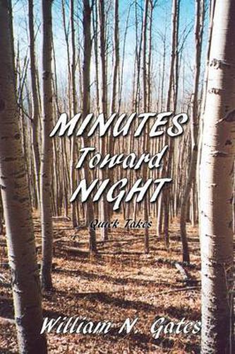 Cover image for Minutes Toward Night