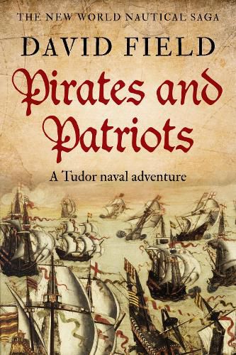 Cover image for Pirates and Patriots