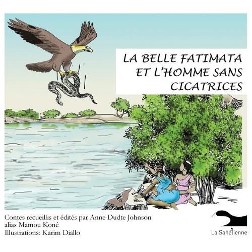 Cover image for La Belle Fatimata et l'homme sans cicatrices