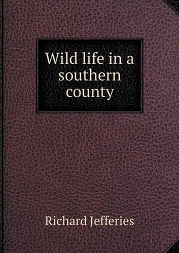 Cover image for Wild life in a southern county