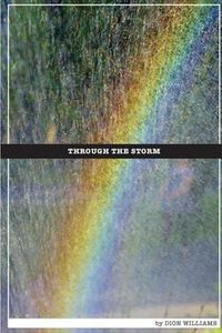 Cover image for Through The Storm