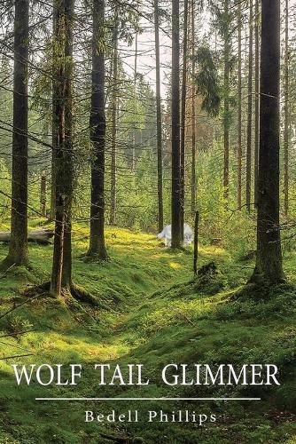 Cover image for Wolf Tail Glimmer