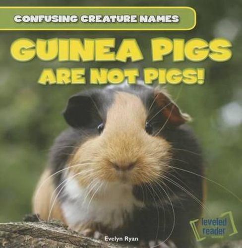 Cover image for Guinea Pigs Are Not Pigs!