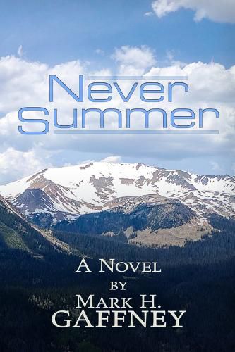 Cover image for Never Summer: a novel