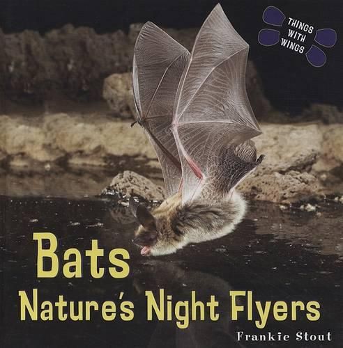 Cover image for Bats