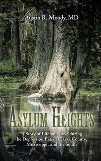 Cover image for Asylum Heights