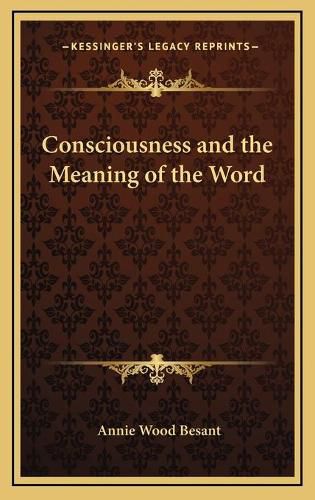 Cover image for Consciousness and the Meaning of the Word