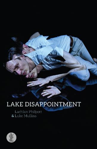 Cover image for Lake Disappointment