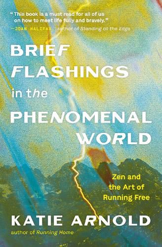 Cover image for Brief Flashings in the Phenomenal World