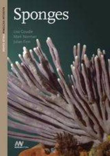 Cover image for Sponges: A Museum Victoria Field Guide