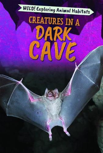 Cover image for Creatures in a Dark Cave