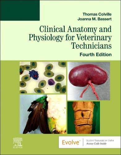 Cover image for Clinical Anatomy and Physiology for Veterinary Technicians