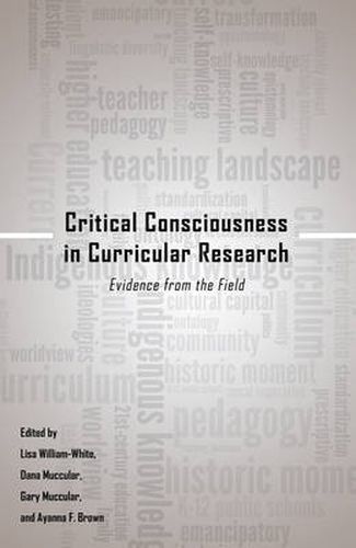 Critical Consciousness in Curricular Research: Evidence from the Field