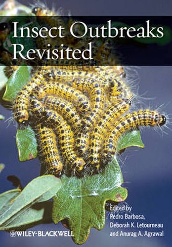 Cover image for Insect Outbreaks Revisited