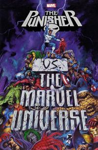 Cover image for Punisher Vs. The Marvel Universe