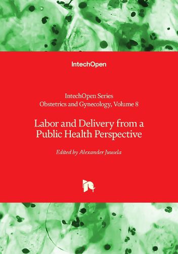 Cover image for Labor and Delivery from a Public Health Perspective